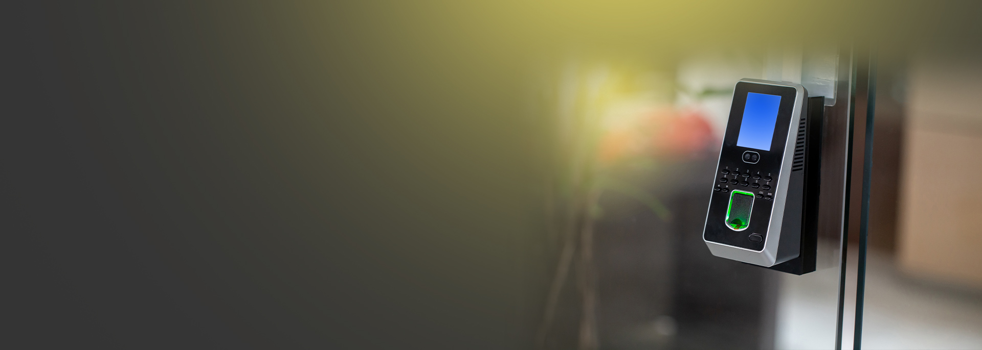 banner(2).jpg